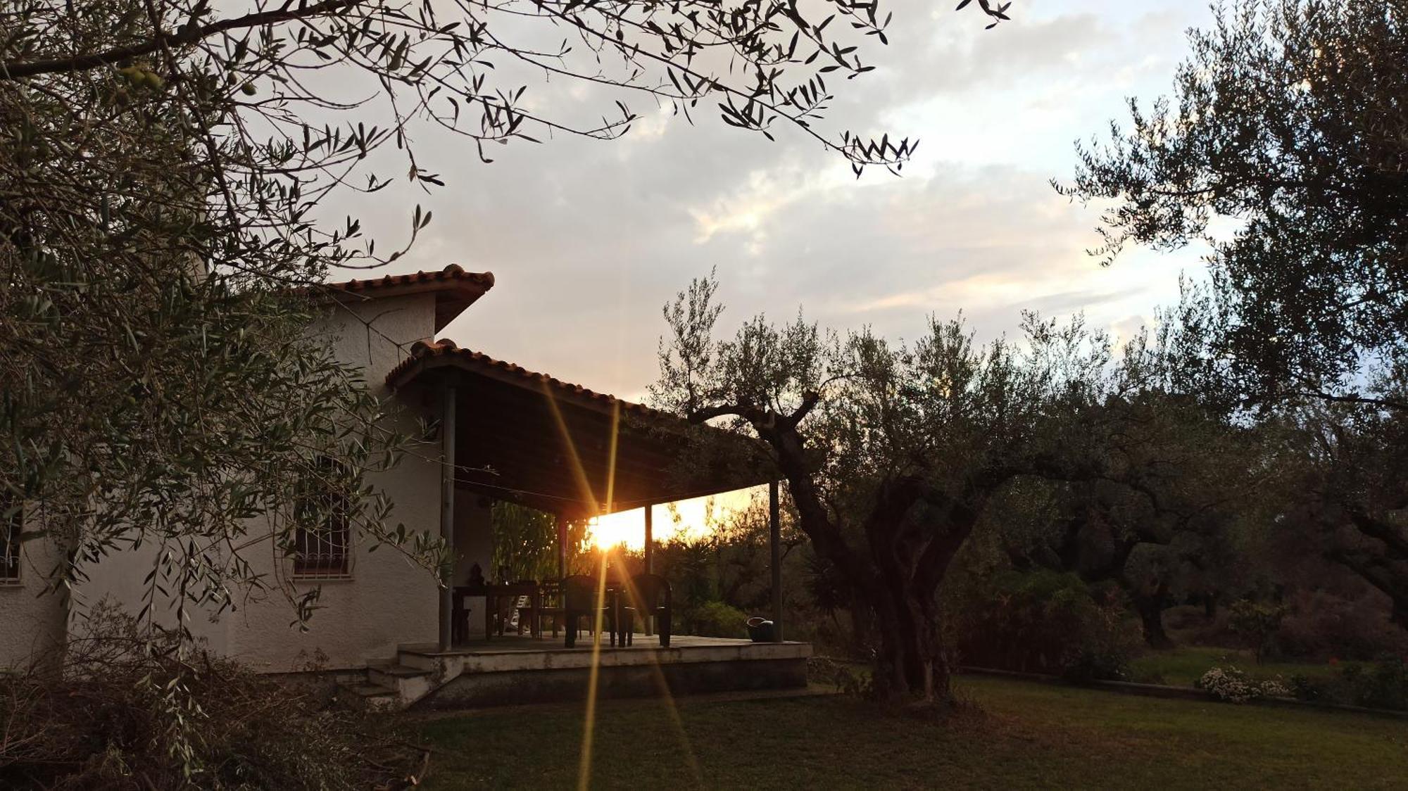 Nafpaktos Cottage By The Sea For Travelers And Dreamers! Ngoại thất bức ảnh