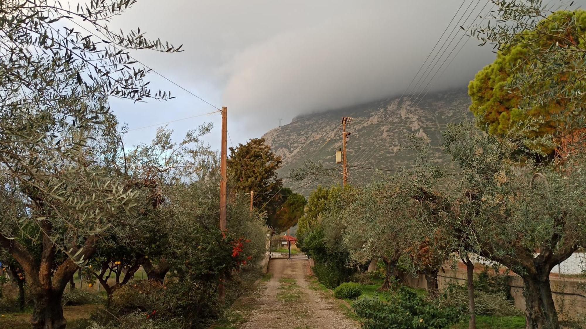 Nafpaktos Cottage By The Sea For Travelers And Dreamers! Ngoại thất bức ảnh