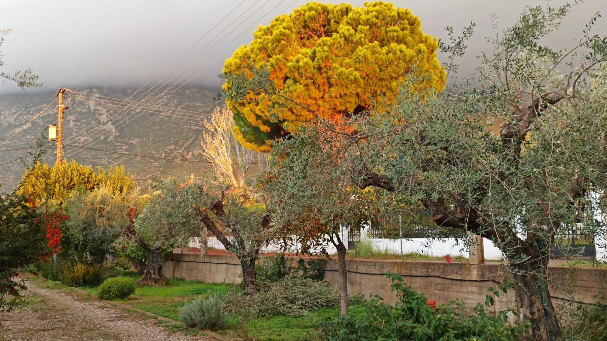 Nafpaktos Cottage By The Sea For Travelers And Dreamers! Ngoại thất bức ảnh