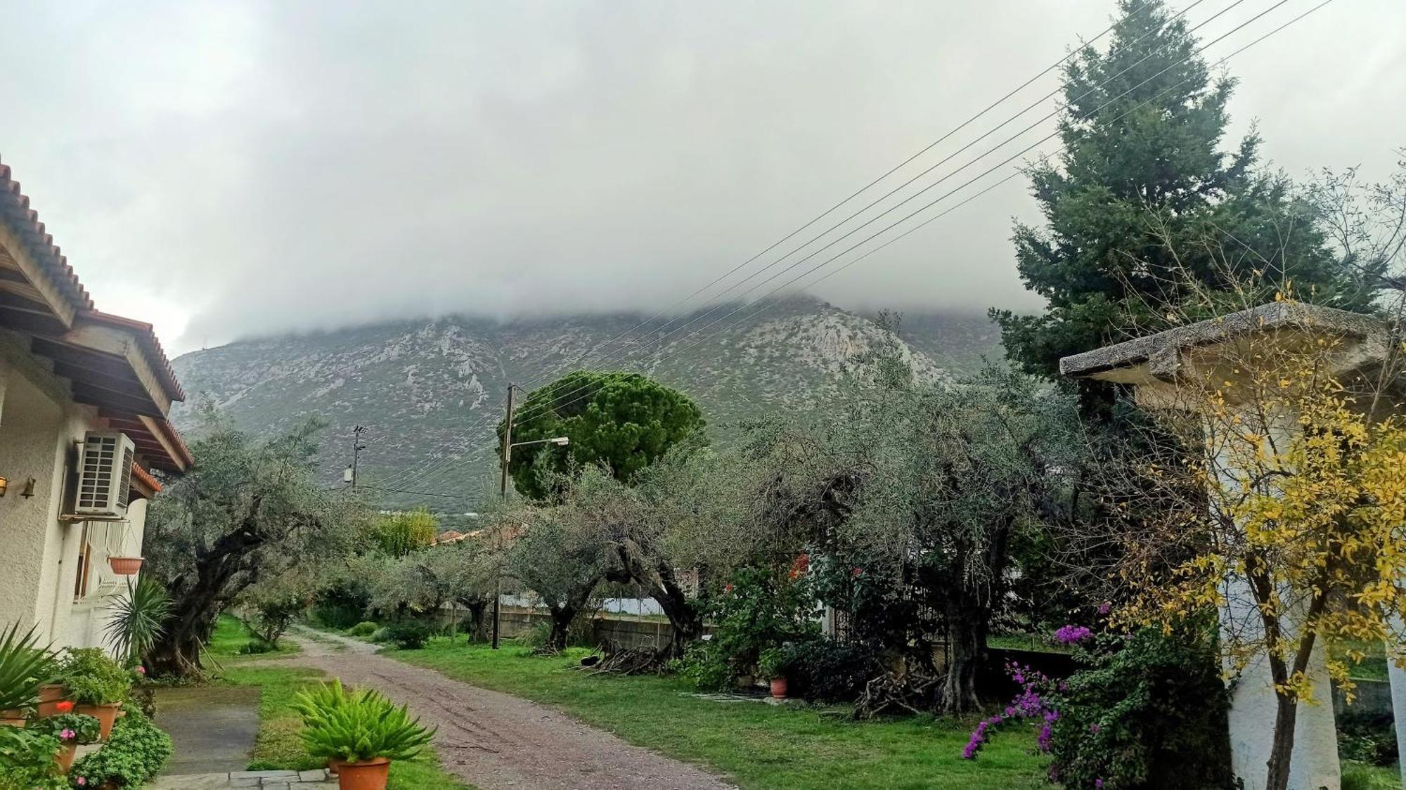 Nafpaktos Cottage By The Sea For Travelers And Dreamers! Ngoại thất bức ảnh