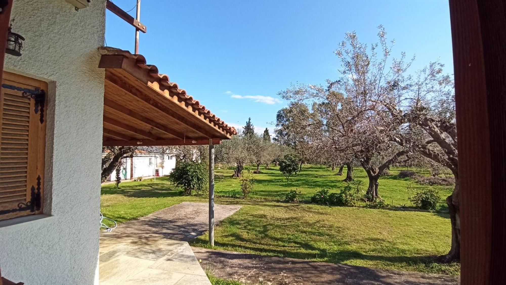 Nafpaktos Cottage By The Sea For Travelers And Dreamers! Ngoại thất bức ảnh