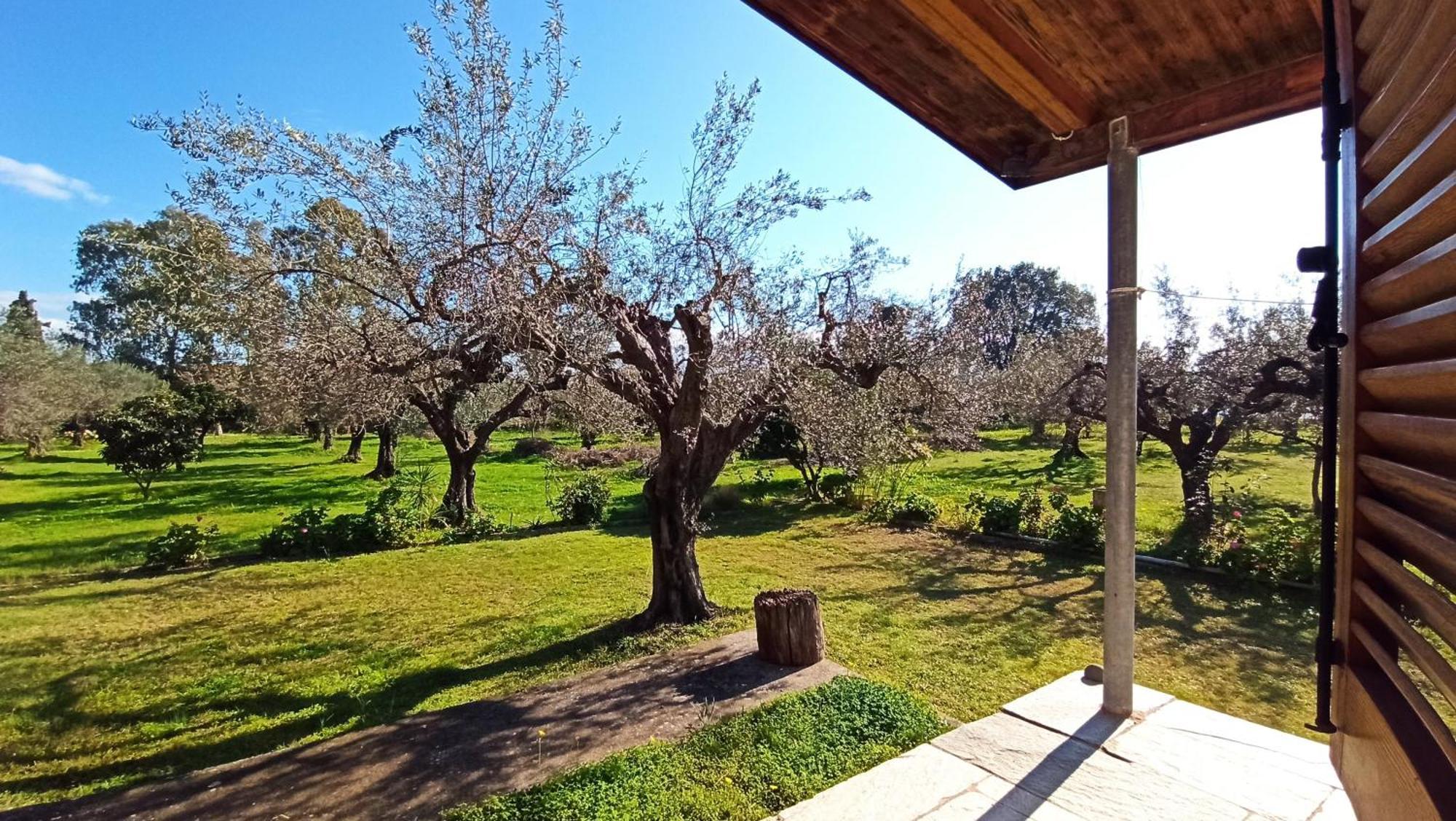 Nafpaktos Cottage By The Sea For Travelers And Dreamers! Ngoại thất bức ảnh