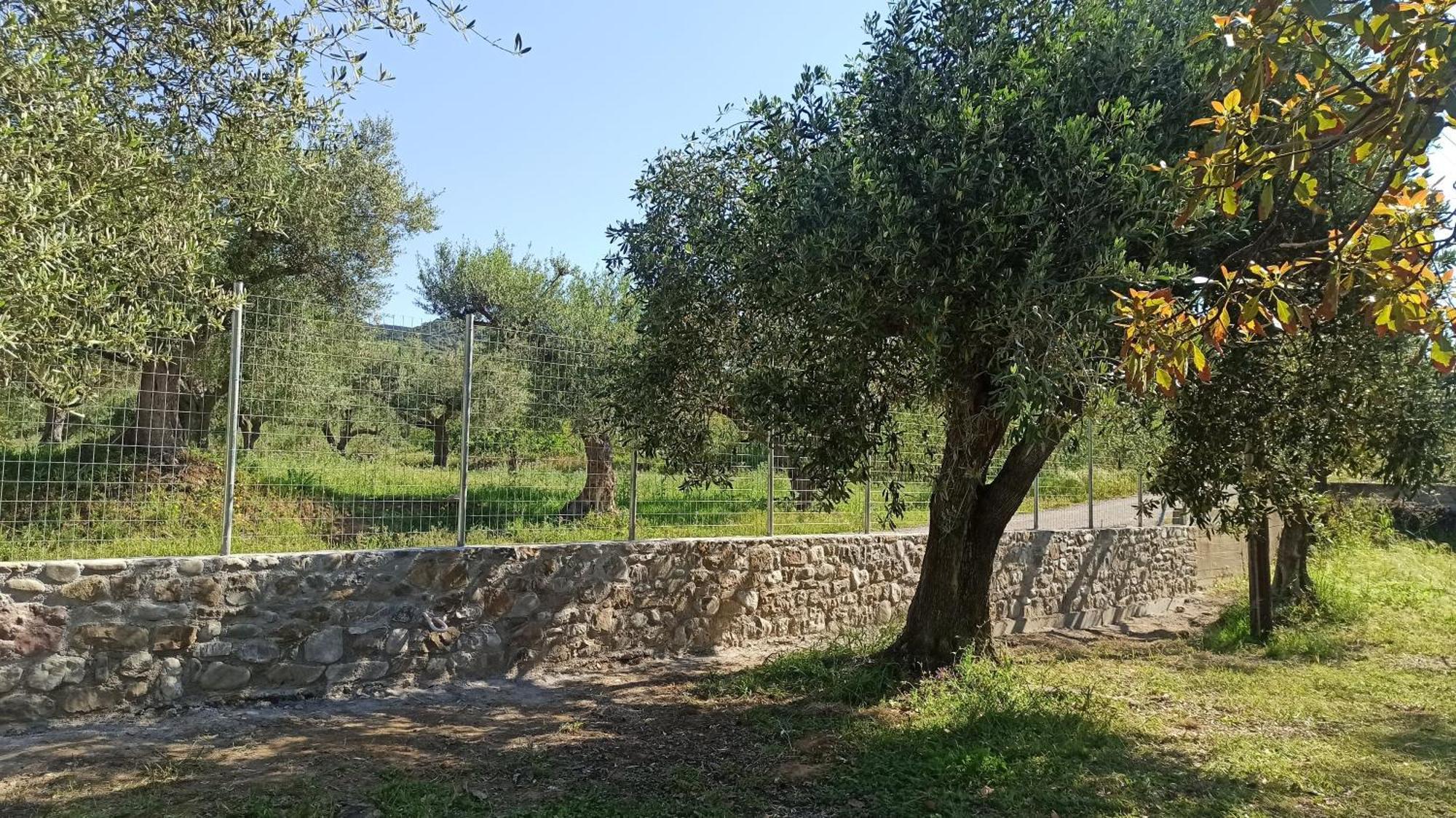 Nafpaktos Cottage By The Sea For Travelers And Dreamers! Ngoại thất bức ảnh